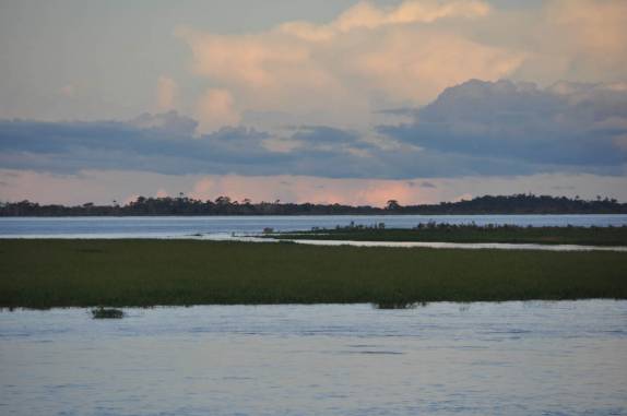 Terras alagadas pelo Rio Amazonas, próximo à Santarém - PA